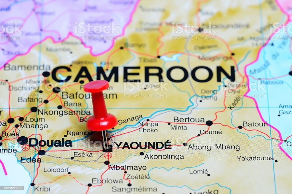 LA DISSIMULATION DE LA VÉRITÉ image